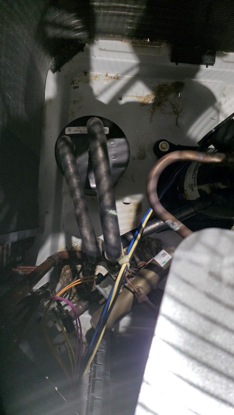 WareHouse 81 20251203 161909